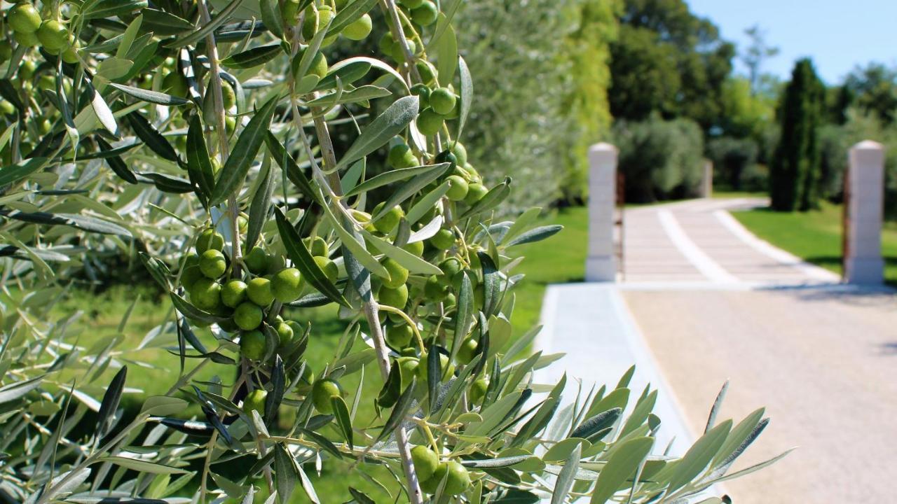 Borgo Romantico Green Relais Cavaion Veronese Εξωτερικό φωτογραφία